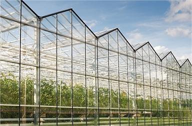 智能温室大棚控制系统