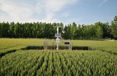 农业综合气象站