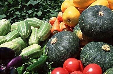 农产品安全追溯系统